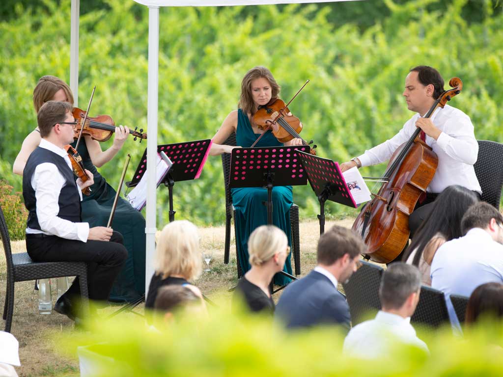 Streichquartett in Hofgut Donnersberg